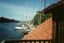 View from the balcony